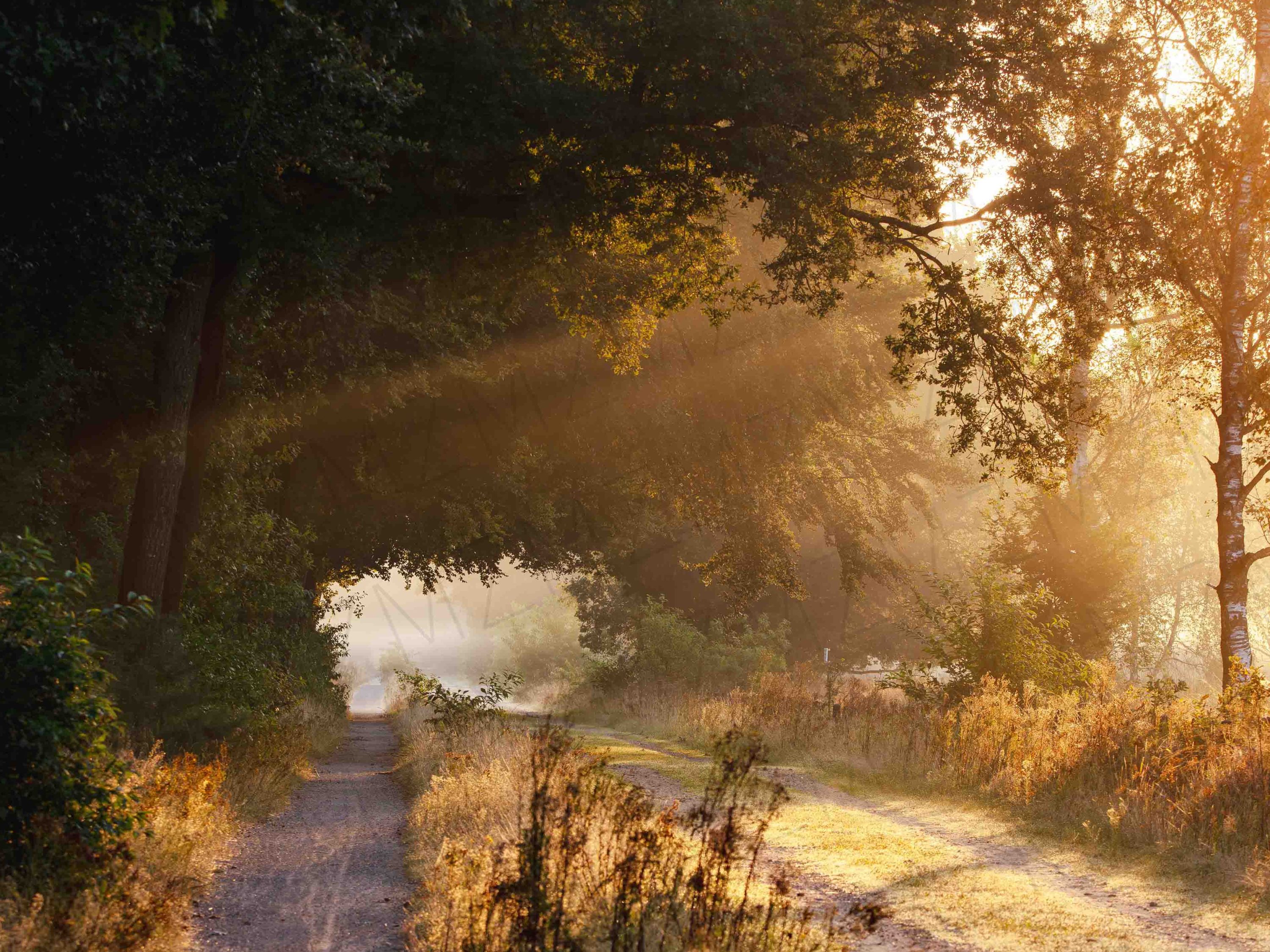 Zonsopkomst – Foto
